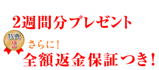 お得なキャンペーン2